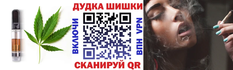 магазин продажи наркотиков  Нижнеудинск  Еда ТГК конопля 