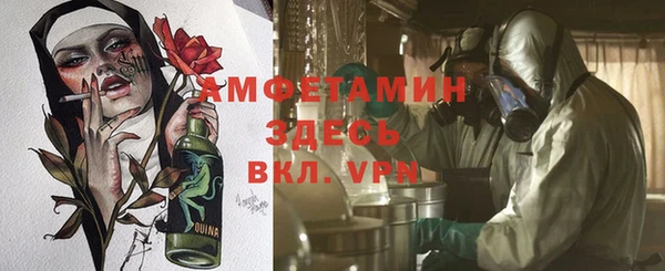 ешки Аркадак