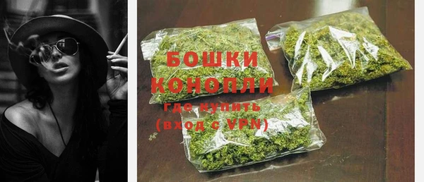 ешки Аркадак